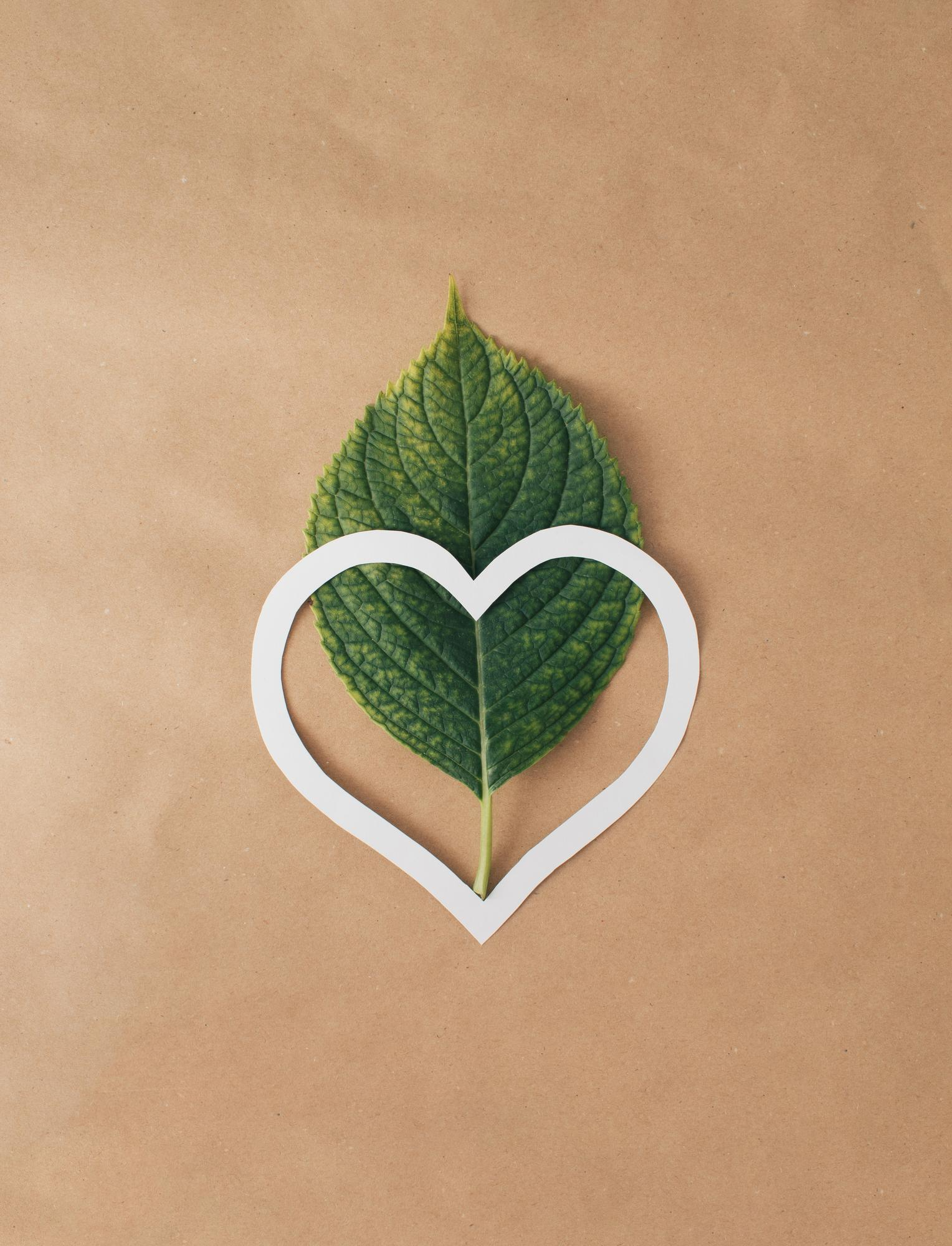 Sustainability Integral